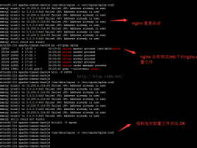 ​​​新网站，nginx 安装问题！