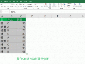 只需学会这两个键，Excel数据跨表移动复制一秒搞定！