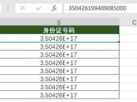 ​​Excel技巧，身份证号、手机号等怎么输入Excel里？ 