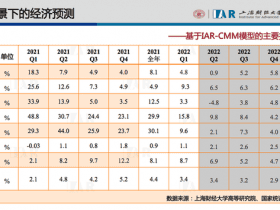 专业报告，2022中国宏观经济形势分析与预测年中报告！