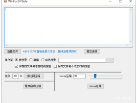 小众软件，​​WinForGIFSicle v1.0.0.1 轻量开源Gif动画压缩工具！