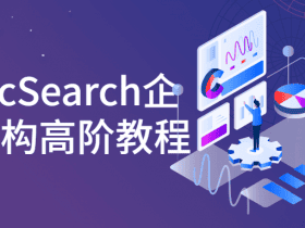 ElasticSearch企业级架构高阶教程！