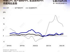 专业报告，第一财经&CBNData-2022中国新消费品牌增长力白皮书！