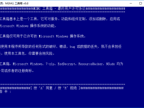 小众软件，Windows系统精简工具 MSMG ToolKit v12.5 最新简体中文汉化版下载！