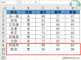 ​​自动添加单元格边框，Excel有妙招，两个技巧任意选！