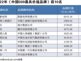 专业报告，品牌价值-2022年度中国品牌价值500强报告!