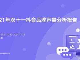 专业报告，2022年双11必看报告，双11全面解读！