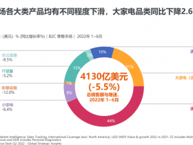 专业报告，GFK-2022上半年家电产业趋势-从全球到中国！