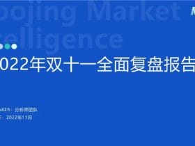 专业报告，魔镜市场情报-2022双11大促复盘报告！