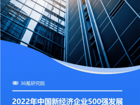 专业报告，2022年中国新经济企业500强发展研究报告！