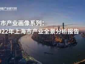 专业报告，2022年上海市产业全景分析报告！