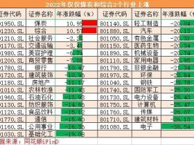 2023向阳而生！