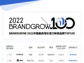 专业报告，2022BrandGrow最具增长潜力新锐品牌100强！