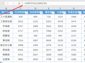 ​​你会用SUBTOTAL函数吗？ 