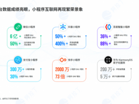 专业报告，阿拉丁2022 年度小程序白皮书发布，8 亿 DAU 再现小程序繁荣生态！