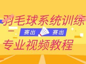 羽毛球系统训练专业视频教程！