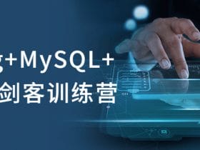 Spring+MySQL+JVM三剑客训练营！