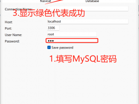 Navicat基本使用方法！