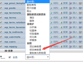 WordPress修改数据库前缀插件！