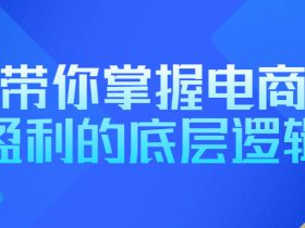 带你掌握电商盈利的底层逻辑！