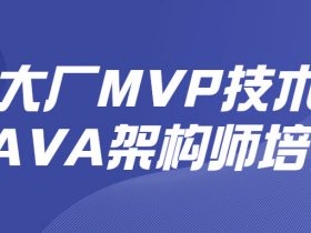 大厂MVP技术JAVA架构师培养！