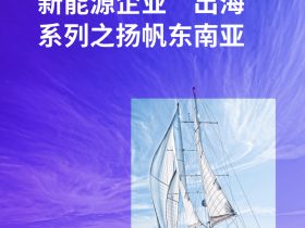 专业报告，2024新能源企业“出海”系列之扬帆东南亚报告！