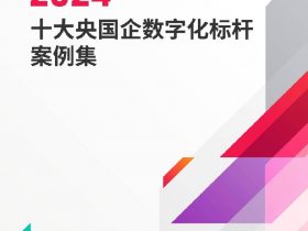 专业报告，2024十大央国企标杆案例集！