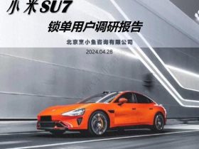 2024小米SU7首批锁单用户调研报告！