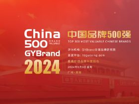 专业报告，2024中国最具价值品牌500强报告！