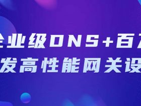 企业级DNS+百万并发高性能网关设计！