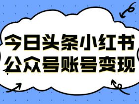 今日头条小红书公众号账号变现!