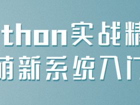 Python实战精讲萌新系统入门！