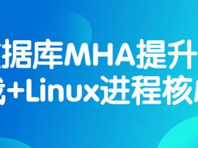 数据库MHA提升实战+Linux进程核心！