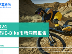 专业报告，2024全球E-Bike市场洞察报告！