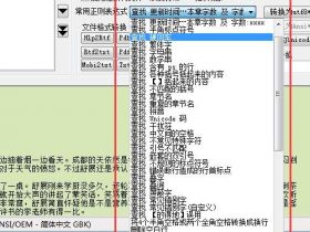 ​​小众软件，文本格式小说排版整理神器——TxtFormat！