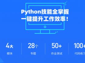 职场人必学的Python技能课！