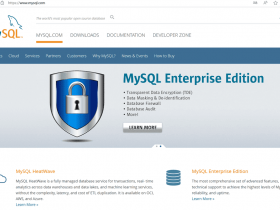 Windws MySQL 8.4 LTS的安装