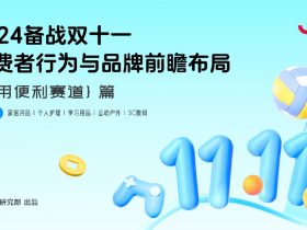 专业报告，【实用便利赛道】2024备战双十一：消费者行为与品牌前瞻布局！