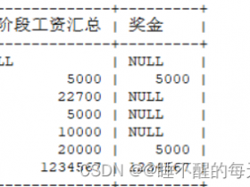 SQL中distinct去重关键字使用和count统计组合使用方法！